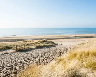Sandy dunes on the sea coast in Noordwijk, Netherlands, Europe.