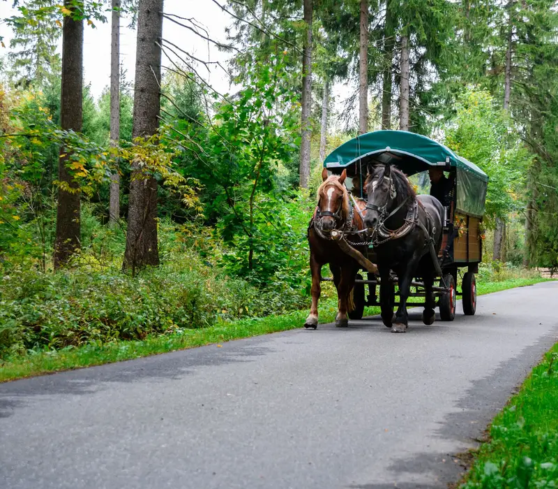 Mit dem Kremser durch den Thüringer Wald