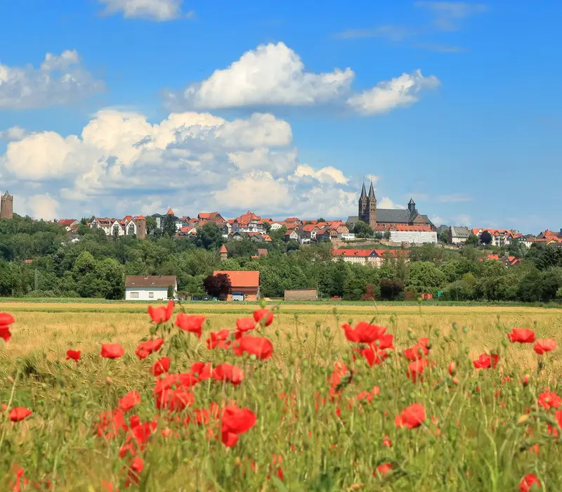 Fritzlar mit Edersee