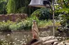 Halle Bergzoo und Halloren-Erlebniswelt