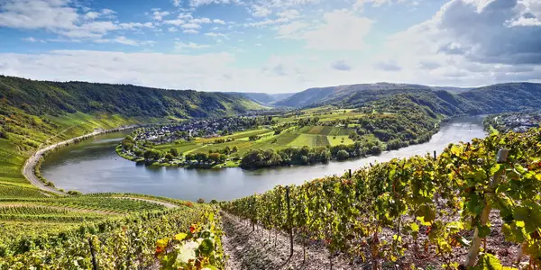 Mosel mit Trier und Luxemburg