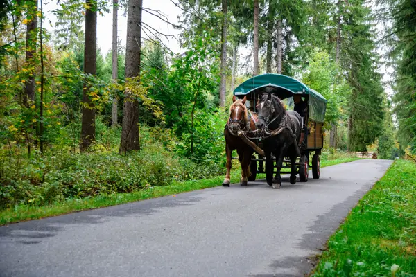 Mit dem Kremser durch den Thüringer Wald
